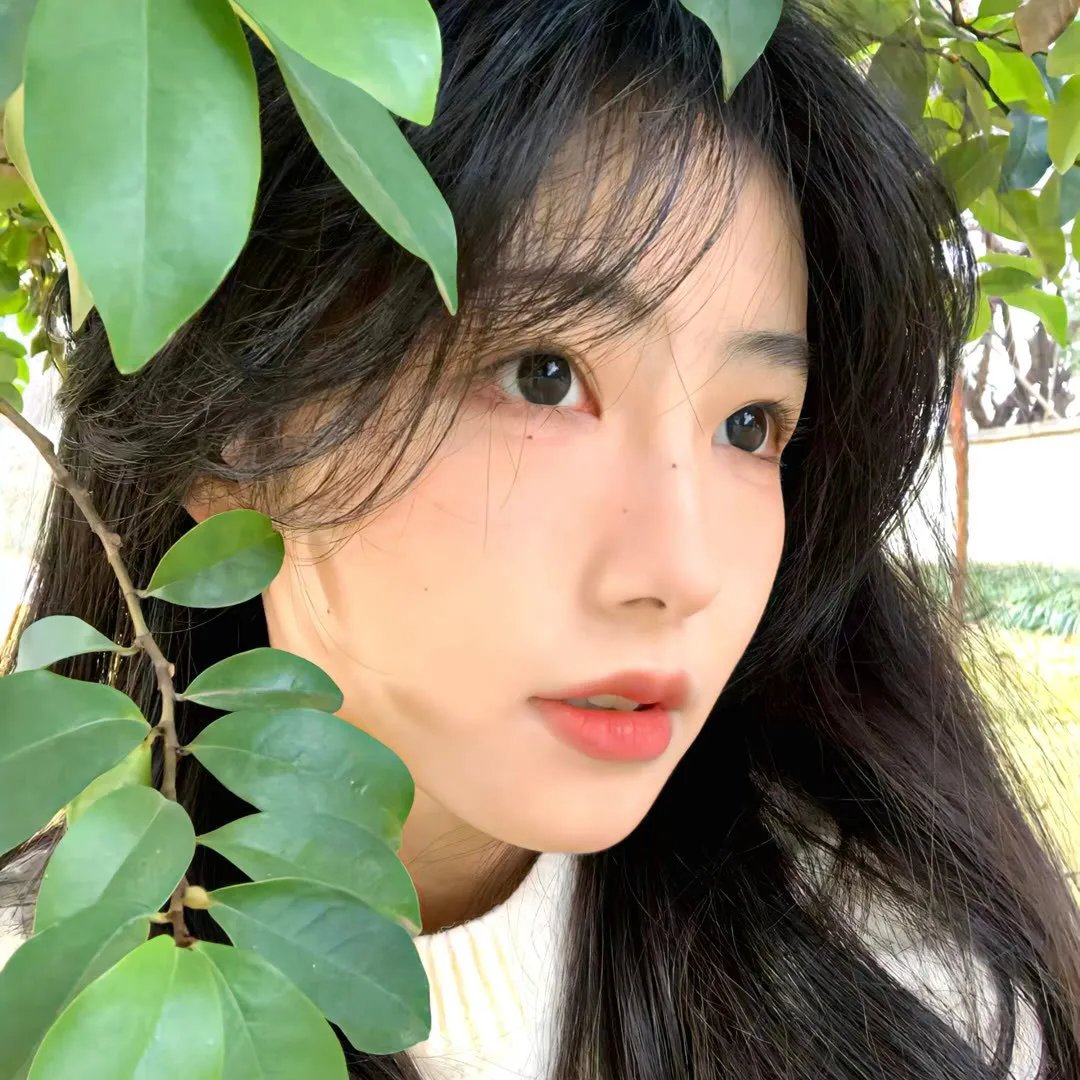 完美婚姻短剧